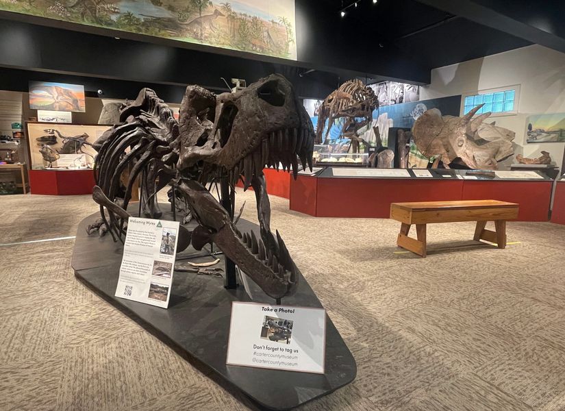Dinosaur fossil exhibit inside Carter County Museum