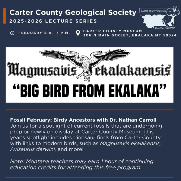 The Carter County Geological Society presents "Fossil February" with Dr. Nathan Carroll on Thursday, February 5, at 7 p.m. Join us for a spotlight of current fossils that are undergoing prep or newly on display at Carter County Museum! This year's spotlight includes dinosaur finds from Carter County with links to modern birds, such as Magnusavis ekalakensis, Avisaurus darwini, and more! Note: We will begin the evening with a short business meeting at 7 p.m., followed by the program. Montana Teachers can receive up to 1 hour continuing education/professional development credits for attending this free program.