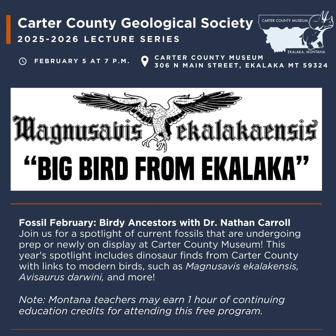 The Carter County Geological Society presents "Fossil February" with Dr. Nathan Carroll on Thursday, February 5, at 7 p.m.  Join us for a spotlight of current fossils that are undergoing prep or newly on display at Carter County Museum! This year's spotlight includes dinosaur finds from Carter County with links to modern birds, such as Magnusavis ekalakensis, Avisaurus darwini, and more!  Note: We will begin the evening with a short business meeting at 7 p.m., followed by the program. Montana Teachers can receive up to 1 hour continuing education/professional development credits for attending this free program.