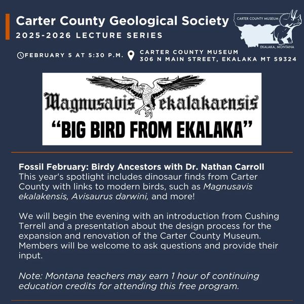 The Carter County Geological Society presents "Fossil February" with Dr. Nathan Carroll on Thursday, February 5, at 5:30 p.m. We will begin the evening at 5:30 with an introduction from Cushing Terrell and a presentation about the design process for the expansion and renovation of the Carter County Museum. Members will be encouraged to ask questions and provide their input. At 7 p.m., we will transition to a sort business meeting then Dr. Carroll will share a spotlight on dinosaur finds from Carter County with links to modern birds, such as Magnusavis ekalakensis, Avisaurus darwini, and more! Note: Montana Teachers can receive up to 1 hour continuing education/professional development credits for attending this free program.