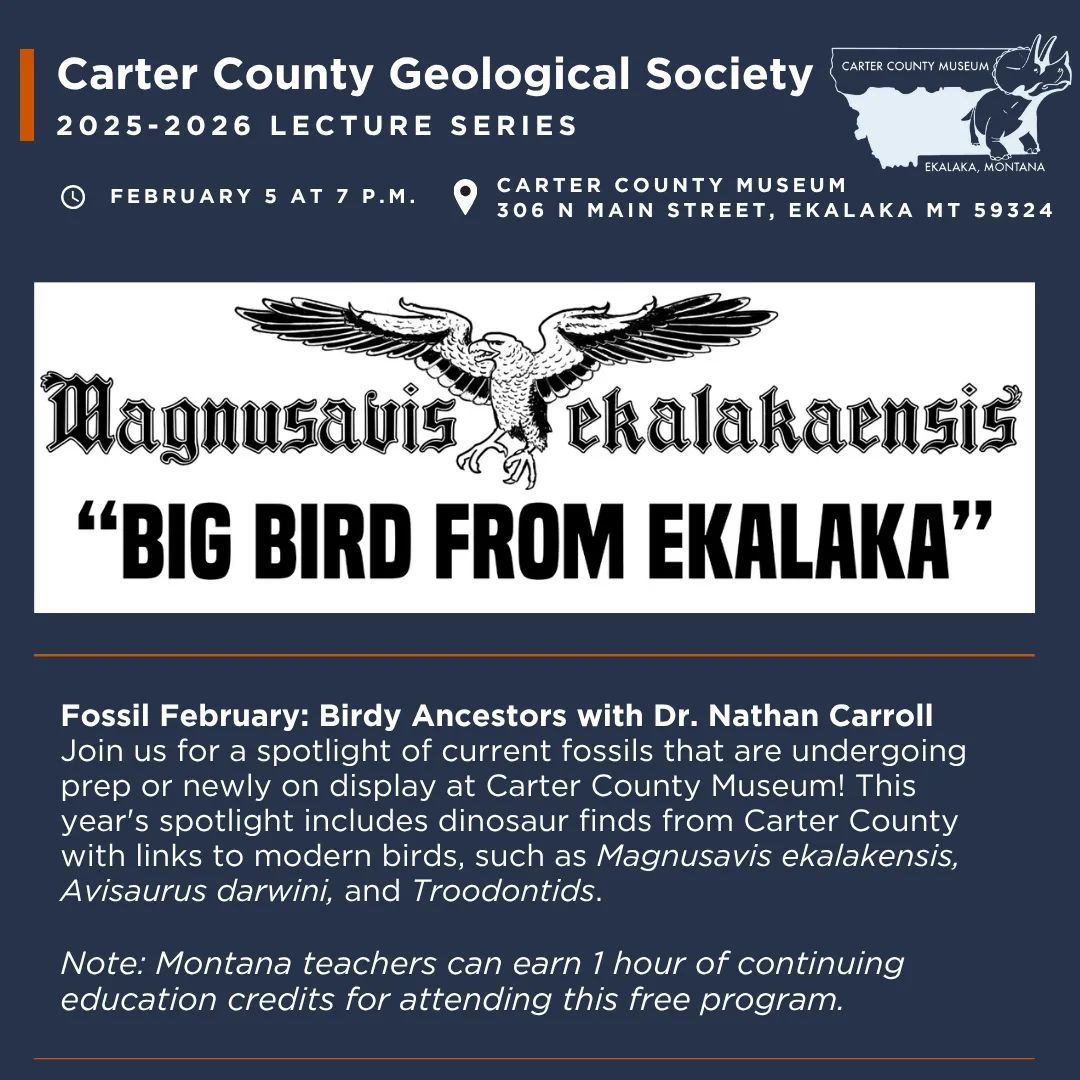 The Carter County Geological Society presents "Fossil February" with Dr. Nathan Carroll on Thursday, February 5, at 7 p.m.  Join us for a spotlight of current fossils that are undergoing prep or newly on display at Carter County Museum! This year's spotlight includes dinosaur finds from Carter County with links to modern birds, such as Magnusavis ekalakensis, Avisaurus darwini, and Troodontids.  Note: We will begin the evening with a short business meeting at 7 p.m., followed by the program. Montana Teachers can receive up to 1 hour continuing education/professional development credits for attending this free program.